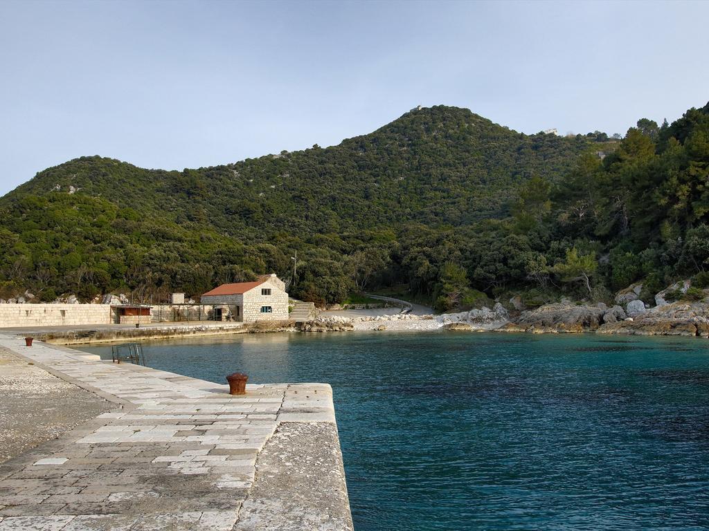 Apartment Cacini Dvori Lastovo 部屋 写真